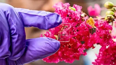 Зображення Futurity