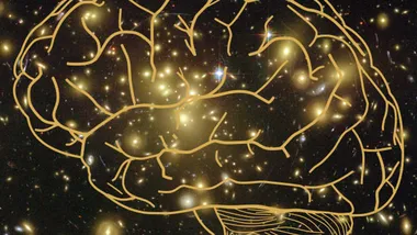 Зображення Sci.News