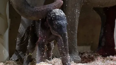 Зображення Yahoo