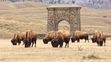 Зображення SciTechDaily