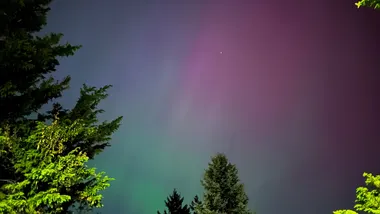 Зображення oregonlive.com