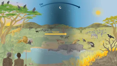 Зображення phys.org