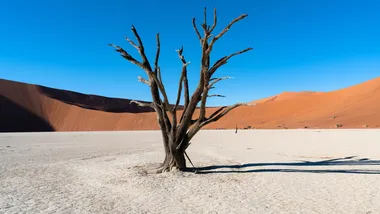 Ілюстративне зображення Freepik