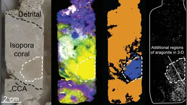 Зображення Cosmos