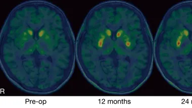 Зображення ZME Science