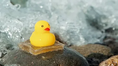 Зображення Scientific American