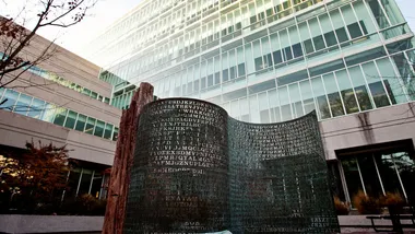 Зображення NYT