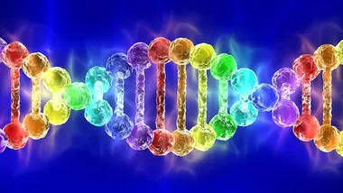 Генетичні варіанти сексуальної орієнтації