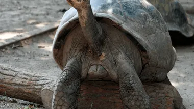 Зображення Philadelphia Zoo