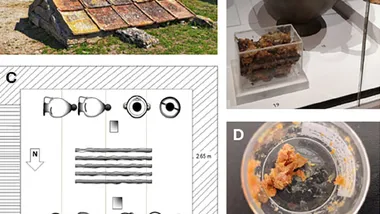 Зображення Sci.News