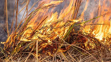 Зображення phys.org