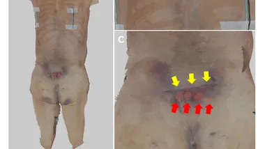 Зображення Cureus