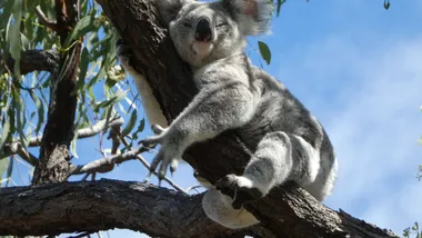 Зображення Phys