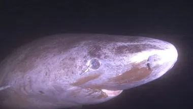 Зображення phys.org