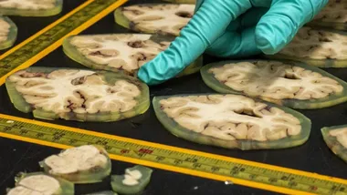 Зображення Evan Bush / NBC News