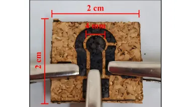 Зображення Phys