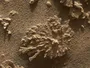 Марсохід Curiosity знайшов скелі у формі корала на Марсі