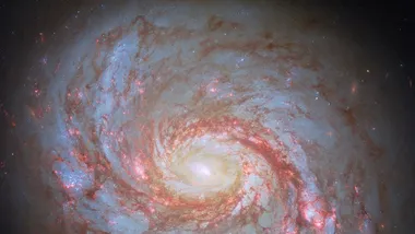 Зображення NASA