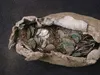Археологи знайшли скарб срібних монет XI століття на узбережжі Саффолка