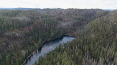 Зображення Phys