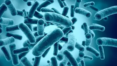 Фото laboratoiresactiva