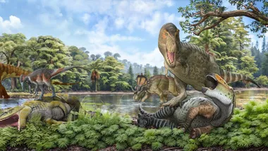 Зображення Sci.News