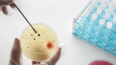 Ілюстративне зображення Freepik