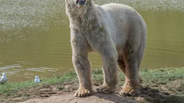 Фото Andrew Hewitt