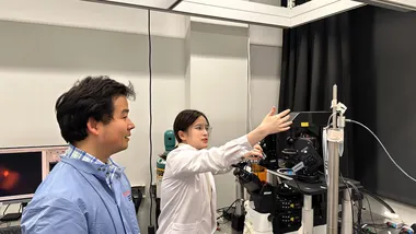 Зображення Phys.org