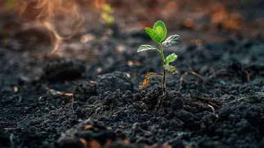 Зображення Freepik