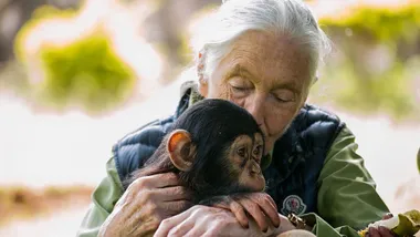 Зображення BBC