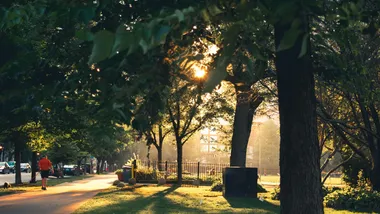 Фото Eliyah Reygaerts