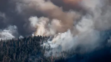 Фото згенеровано ШІ