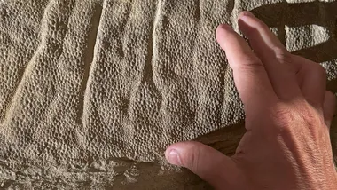 Зображення NYT