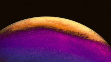 Ілюстративне зображення Freepik