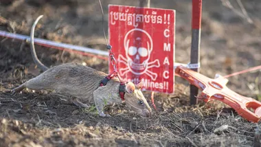 Зображення ZME Science