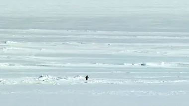 Зображення ZME Science