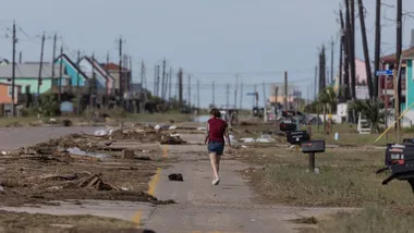 Зображення NYT