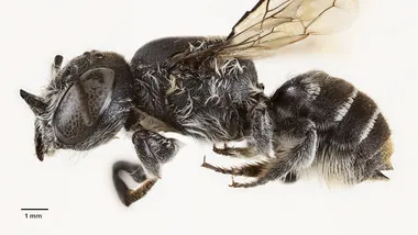 Зображення Yahoo