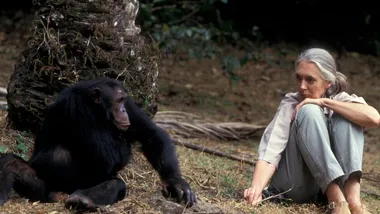 Зображення NYT