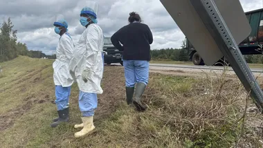 Зображення Yahoo