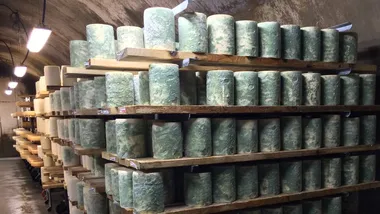 Зображення NYT