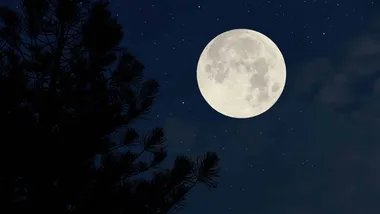 Зображення The Daily Galaxy