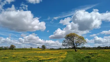 Зображення Watts Up With That？