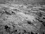 Марсохід Curiosity досліджує нові геологічні структури на Марсі