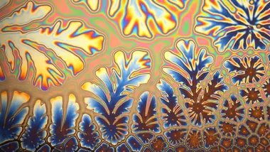 Зображення ZME Science