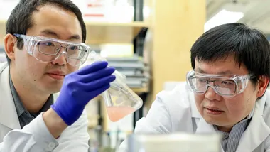 Зображення Supplied