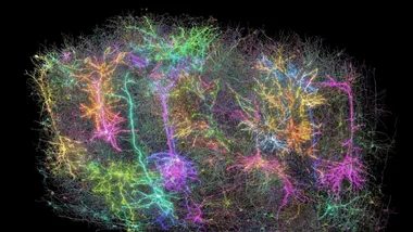 Зображення AP