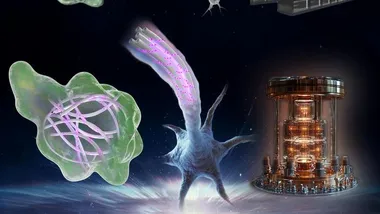 Зображення Quantum Insider