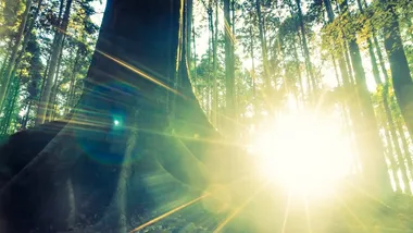 Зображення Freepik